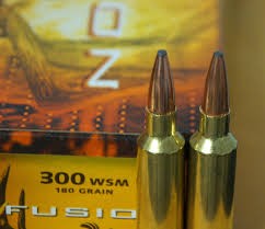 FUSION 300 WSM 180 SP. 20 stk.